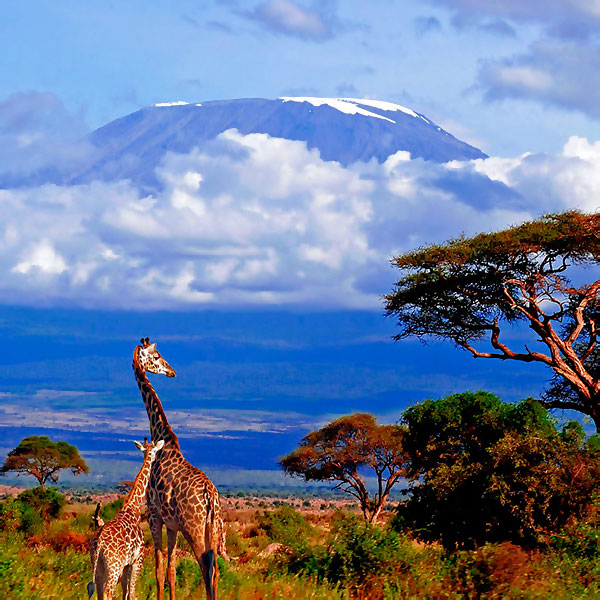 Подъём на Килиманджаро